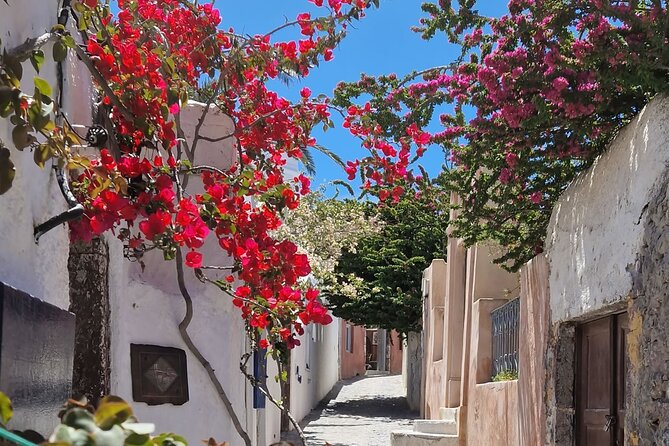 3 hours Panoramic Tour to Oia - Stop 2 at IKIES: a dedicated Oia panoramic outlook