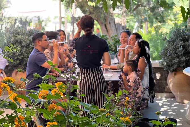 3 Wineries wine tasting & Greek Meal -Food and Wine pairing - Who This Tour Fits Best