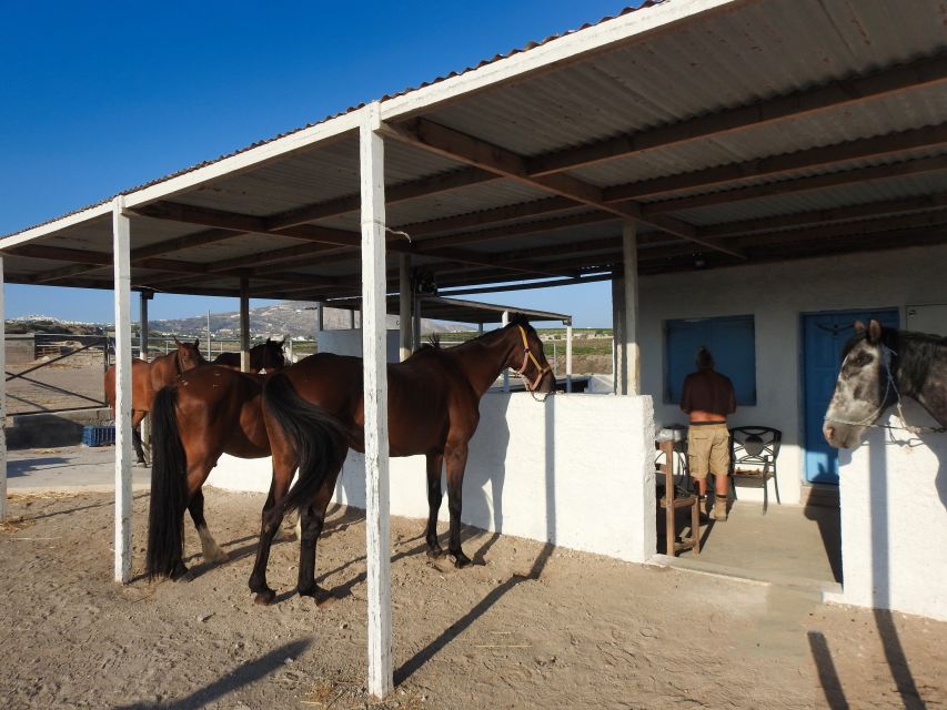 Akrotiri: Guided Horseback Riding Day Trip to a Beach - Practical packing tips so you stay comfortable