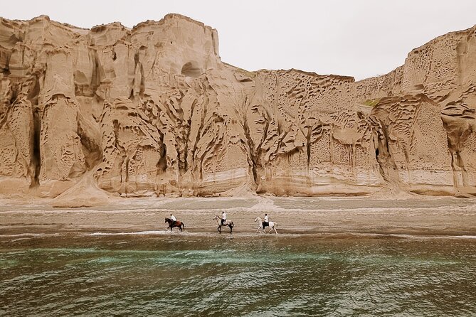 Beach Gallop - Horse Riding Safari for Experienced Riders - Key highlights you should know before you book