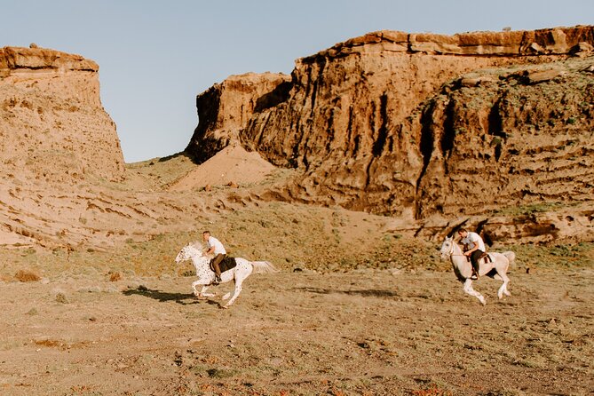 Beach Gallop - Horse Riding Safari for Experienced Riders - Horses and care: what to look for in the real world