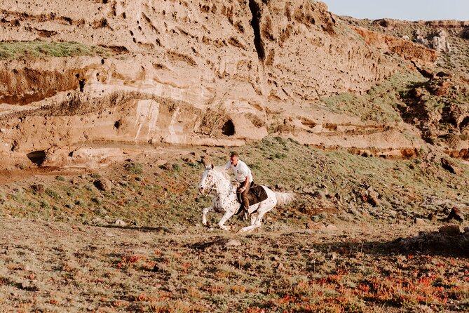 Beach Gallop - Horse Riding Safari for Experienced Riders - The one drawback to take seriously: comfort, trot segments, and control