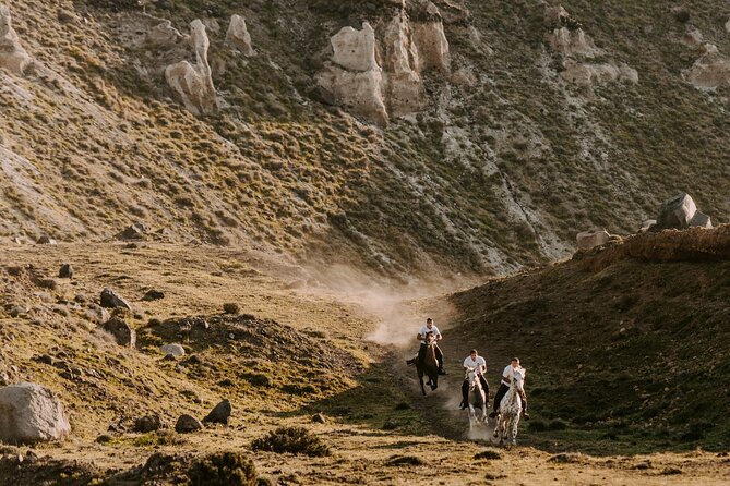 Beach Gallop - Horse Riding Safari for Experienced Riders - Route in plain English: vineyards, Megalochori, Eros Beach, canyon trails, cliff views