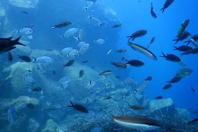 Discover Scuba Diving in Santorini - Open-Water Time: How to Decide When It’s Right for You