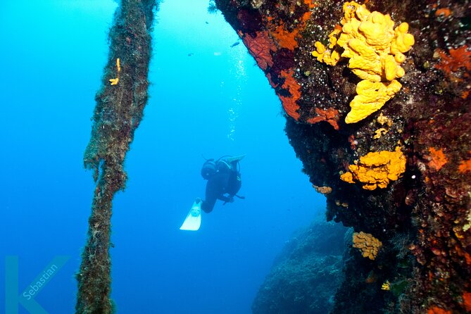 Discover Scuba Diving in the Caldera of the Volcano in Santorini - Key Highlights You Should Know Before You Go