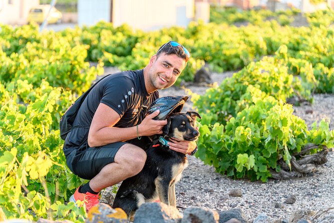E-Bikes Rental in Santorini - Price and Value: Is $142.97 Worth It?