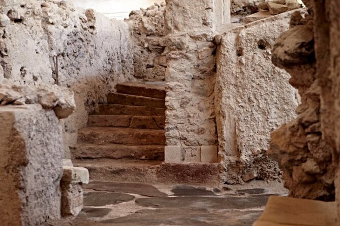 Guided Tour to the Akrotiri Archaeological Site in Santorini - Price and logistics: you’re paying for guidance plus transfers