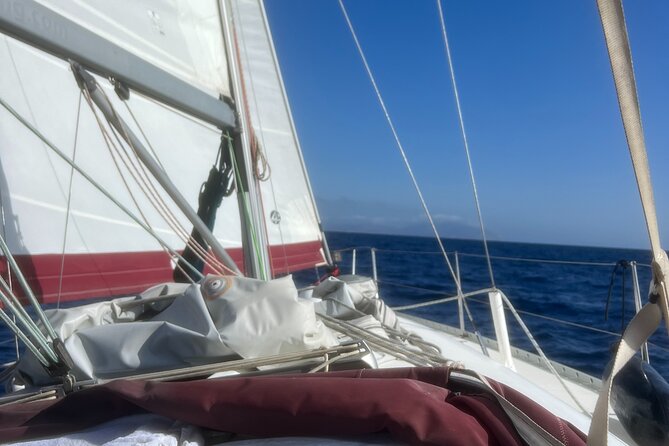 Half day Private Sailing cruise in Santorini island up to 6 pax - Thirassia at lunch time: quiet island life without the crowds