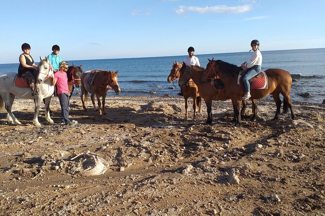 Horse Riding: Explore Secret Thera - Best Time of Day and What to Bring