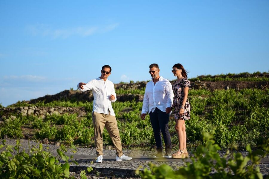 Imerovigli: Premium Wine Tasting with Caldera and Sea Views - After the tasting: private wine cellar visits and optional dinner