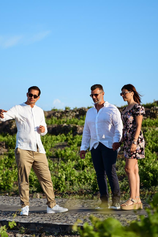 Imerovigli: Premium Wine Tasting with Caldera and Sea Views - The sunset option: making time for that last golden hour