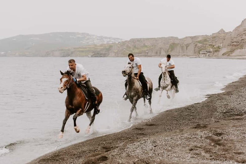 Megalochori: Horseback Riding Tour for Experienced Riders - The Route: Vineyards Down to Eros Beach, Then Up Through Canyons