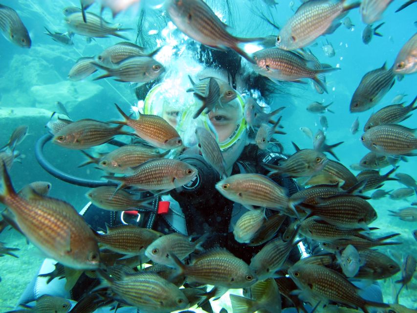 Oia: 2 Guided Scuba Dives off Santorini for Certified Divers - Small group size and guided attention that feels human