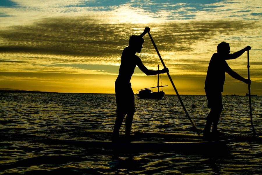 Paddle Board Rental: Glide on the Water with Ease - Getting on Santorini Water in One Easy Hour