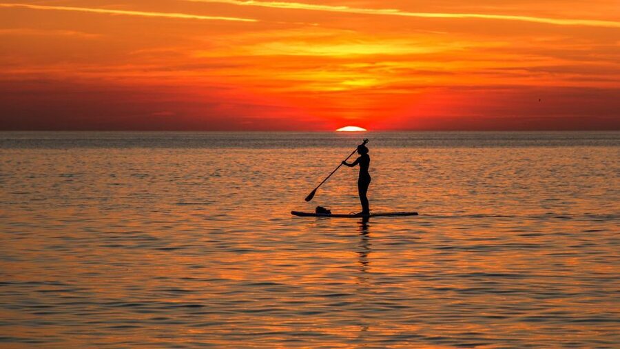Paddle Board Rental: Glide on the Water with Ease - Learning Fast: Tutorial, Safety Lockers, and Staying Within Boundaries