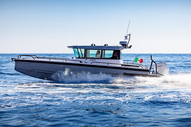 Private Axopar 37 MotorYacht Cruise in Santorini w/ Snack & Drink - Booking tips that help you get the day you want