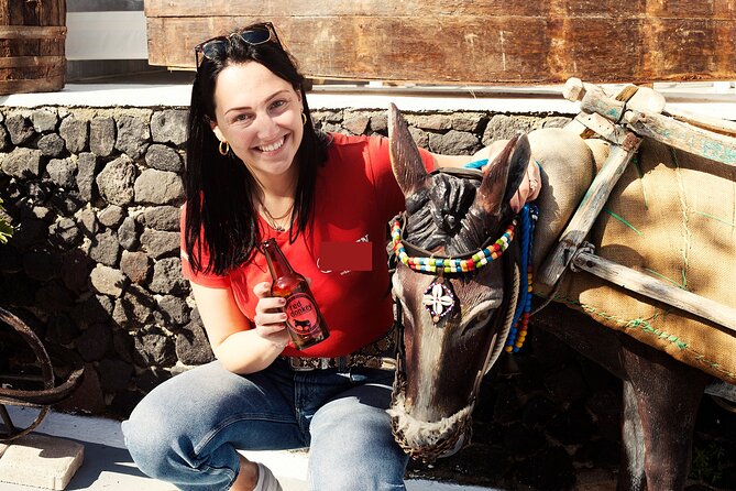 Private Captivating Santorini Highlights Tour inc. tastings - Price, value, and what $336.27 is really buying