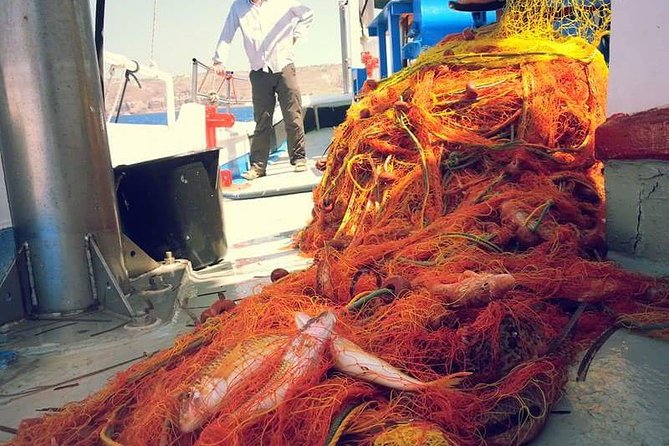 Private Fishing Tour - Morning (transportation included) - What fish you can realistically expect, and how hands-on it feels