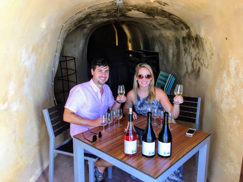 Private Group Visit to Akrotiri & 3 Wineries with Tastings - Akrotiri Excavations: What You Really Get