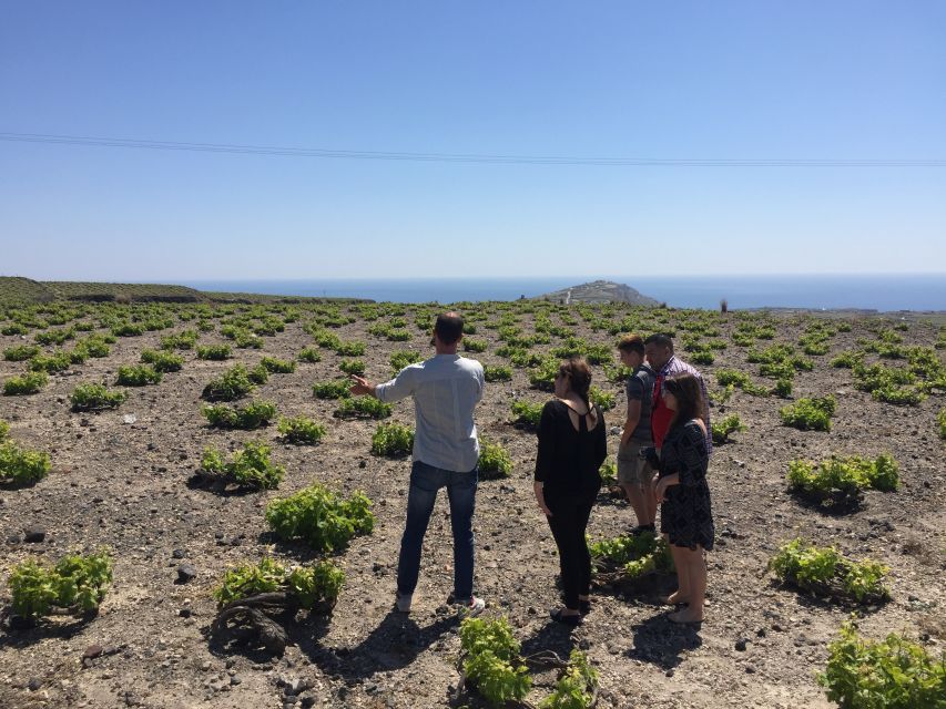 Private Group Visit to Akrotiri & 3 Wineries with Tastings - The 12-Wine Tasting Tutorial: How to Make It Worth Your Time