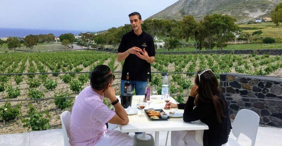 Private Group Visit to Akrotiri & 3 Wineries with Tastings - Getting Around in a Minivan: What 4.5 Hours Feels Like