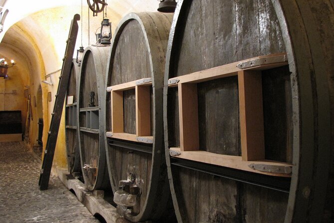 Private Half Day Tour with Wine Tasting in Santorini - Who This Tour Fits Best, and Who Might Want Another Option