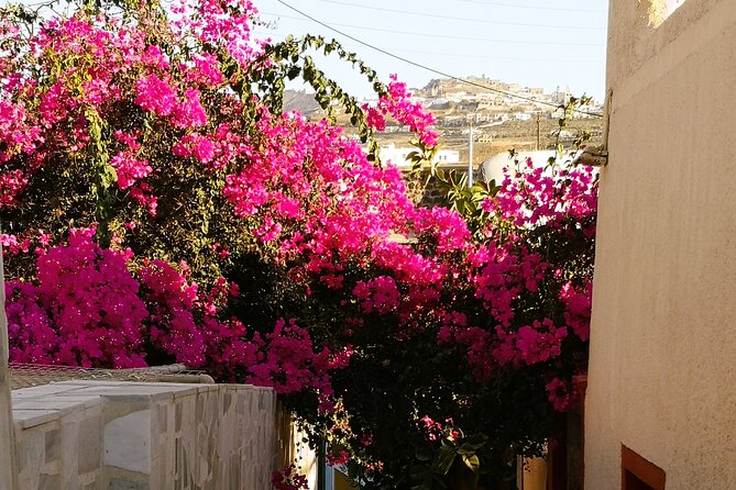 Private Santorini Highlights Tour with Easy and Flat Walks - The vibe: a private half-day that keeps the walking gentle
