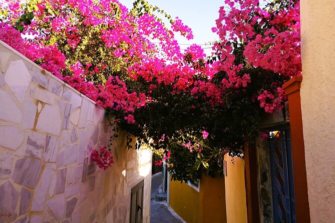 Private Santorini Highlights Tour with Easy and Flat Walks - Firostefani stop: the blue dome photos and caldera views
