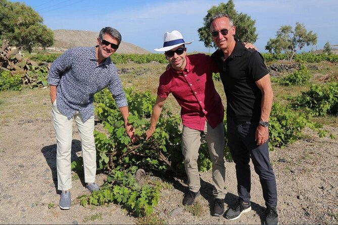 Private Santorini Sunset Wine Tour with Tastings and Tapas - Pickup, meeting point, and how to plan around Santorini’s access