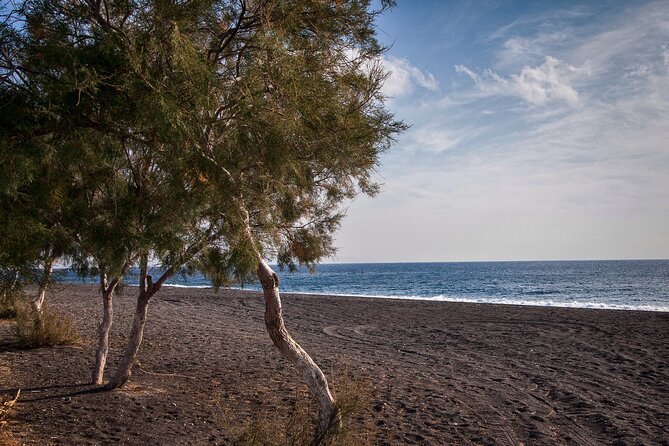 Private Tour: Discover South of Santorini - Price and Value: What You’re Really Paying For