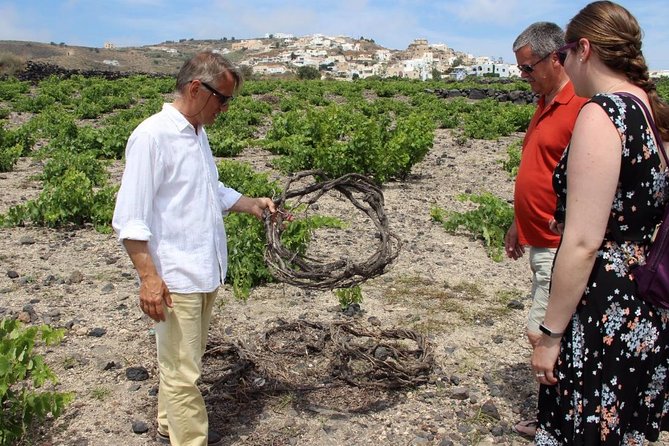 Private Tour: Great Wines and Famous Towns of Santorini - The guides: English-first, with wine nerd energy when you get it