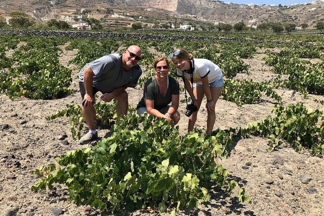 Private Tour: Great Wines and Famous Towns of Santorini - Who this tour suits best