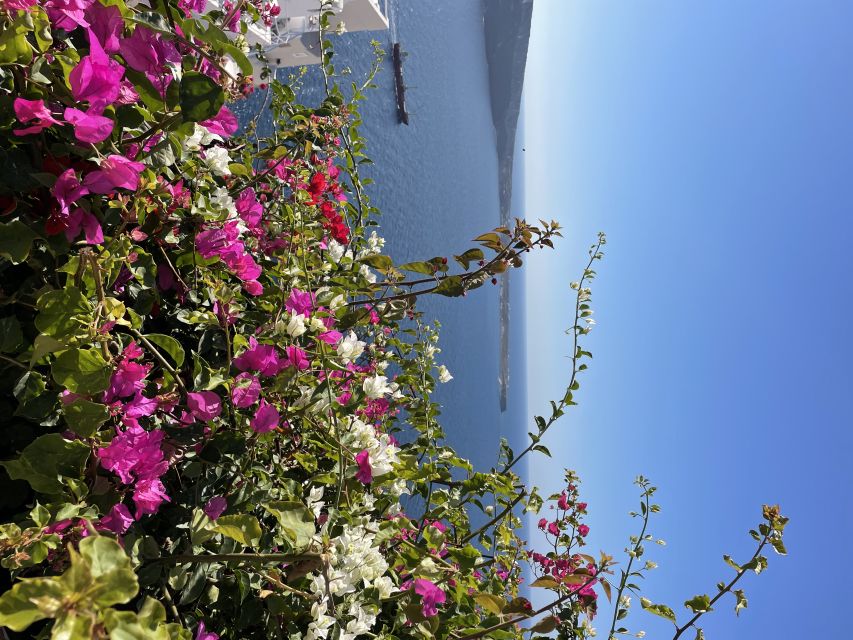 Private Tour of the Famous Blue Domes and Caldera - Oia’s Blue Domes: Churches, Kastro Streets, Windmills, and the Castle View