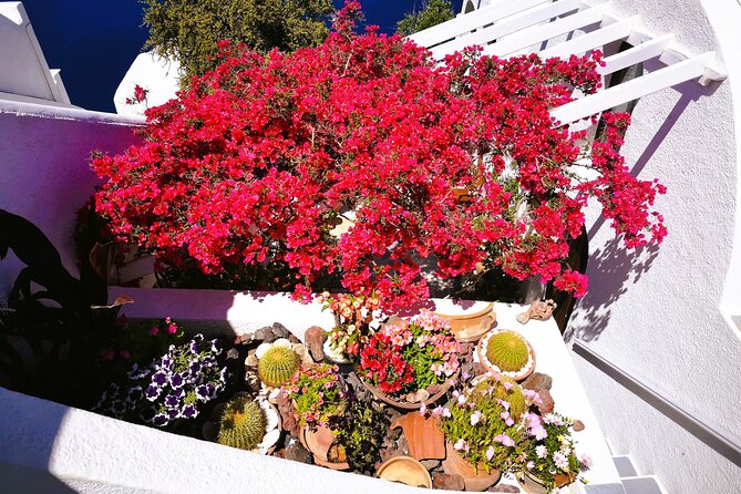 Private Unseen Authentic Santorini Half Day Island Tour - Why this “unseen Santorini” loop works better than the usual drive