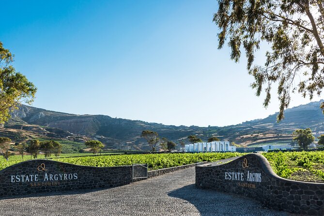 Private Wine Adventure Tour in the Most Distinct Wineries - Santo Wines: Caldera Rim Views and Four Wines With Snacks