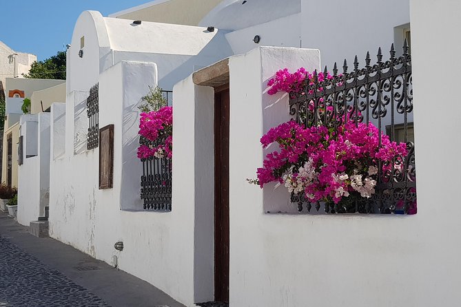 Santorini: 4hr Private Countryside Hidden Paths Tour - Four hours of Santorini countryside, and why it feels different