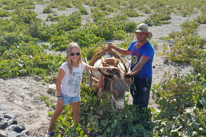 Santorini: 4hr Private Wine Tasting Tour - Who should book this tour, and who might want to choose differently