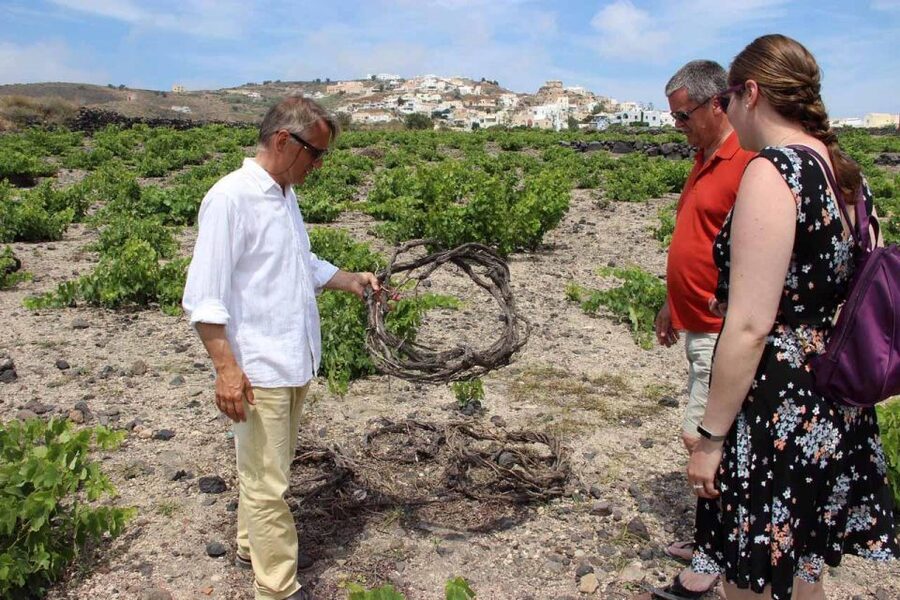 Santorini: 5-Hour Private Wine Tour - ANHYDROUS Stop: Third Taste, Third Style