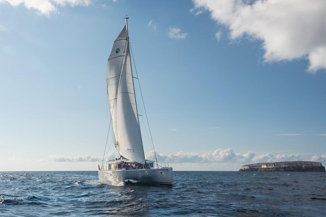 Santorini Caldera Sailing Tour with BBQ Lunch and Drinks - The BBQ lunch and drinks: where this tour outclasses many “basic boat” days
