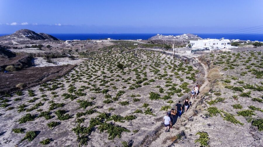 Santorini: Cooking Class and Easy Hike - Lunch you make, not just lunch you get