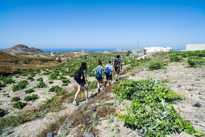 Santorini : Cooking Class & Easy Hike - The Cooking Class With a Family Chef, Step by Step