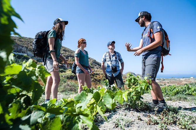 Santorini : Cooking Class & Easy Hike - Mesa Pigadia Beach: Where the Views Turn Into Swim Time