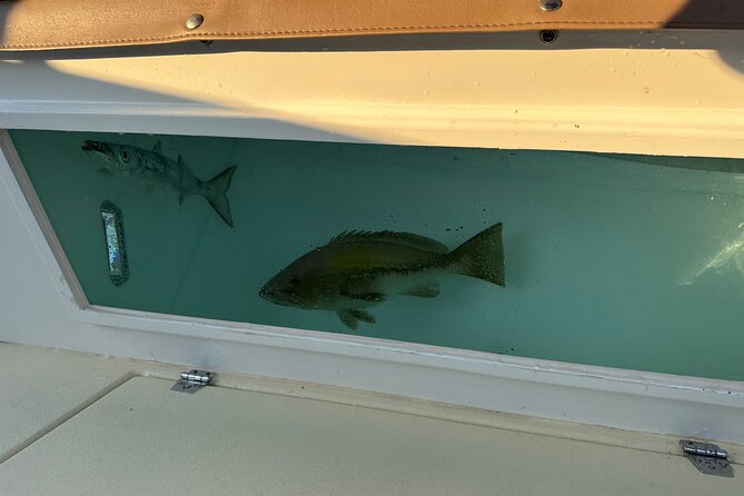 Santorini Fishing Private Cruise boat tour - BBQ, Snorkeling - Captain Makis and Elias: stories that make the caldera make sense