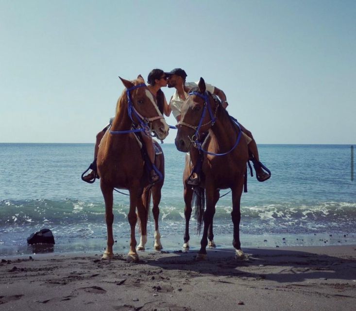 Santorini Fun day: Horseriding- Wine Tasting - Tapas - Key Things I’d Book This For