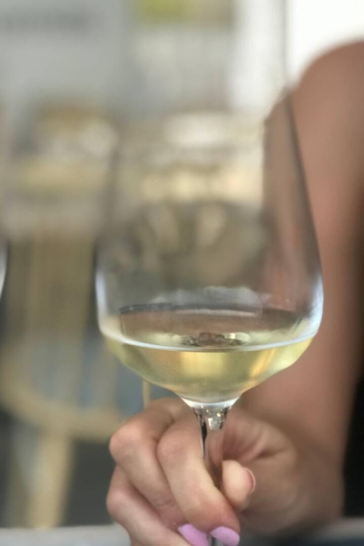 Santorini Fun Wine tour-Visit 2 Wineries-transfers included - Key highlights to know before you go