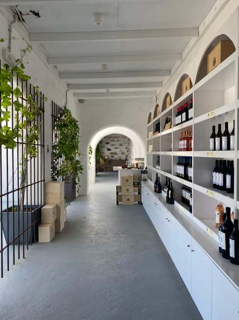 Santorini Fun Wine tour-Visit 2 Wineries-transfers included - Snacks, water, and the pacing reality