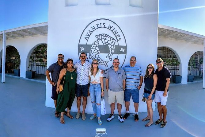 Santorini Half Day Wine Tasting & Winery Tour with Pickup - Key highlights worth knowing before you go