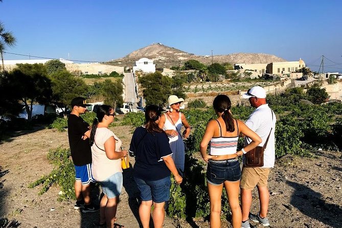 Santorini Half Day Wine Tasting & Winery Tour with Pickup - Estate Argyros: Assyrtiko with a clean, serious finish