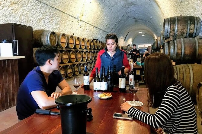 Santorini Half Day Wine Tasting & Winery Tour with Pickup - The tastings: 10-12 wines, plus cheese, tapas, snacks, and water