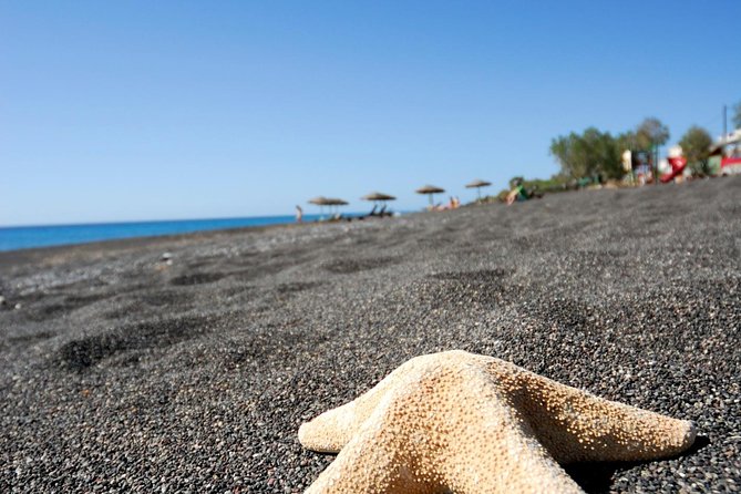 Santorini Highlights: 5-Hour Private Tour with Wine-Tasting - Profitis Ilias: Summit Views and Monk-Made Samples